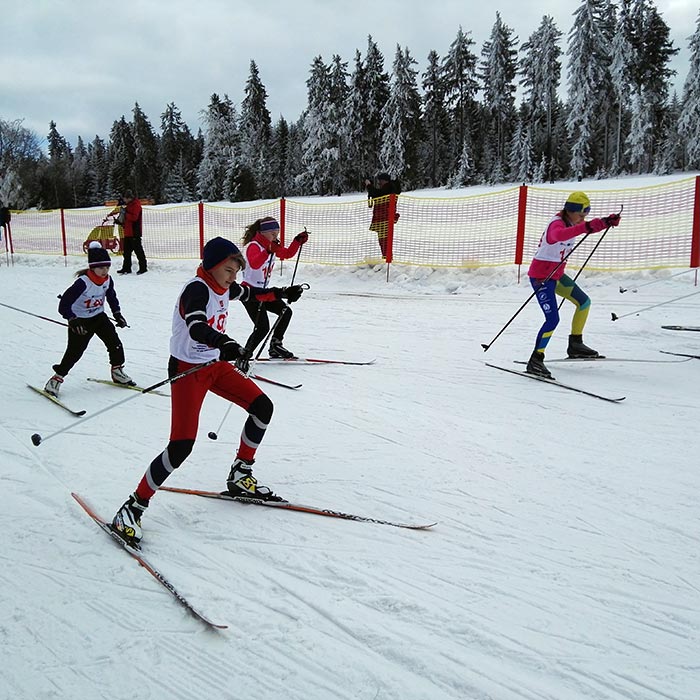 Obsługa grup