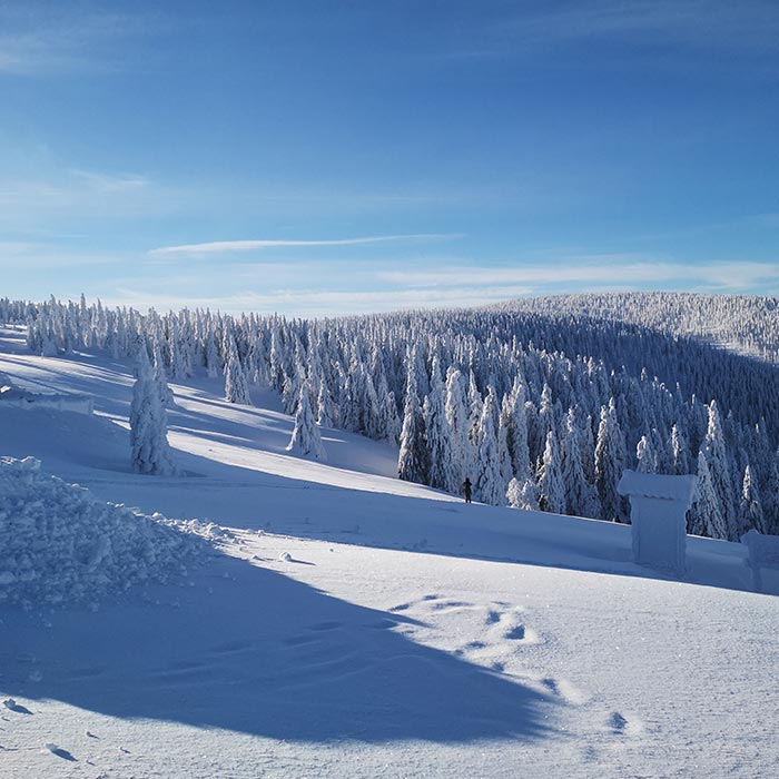 Rakiety śnieżne