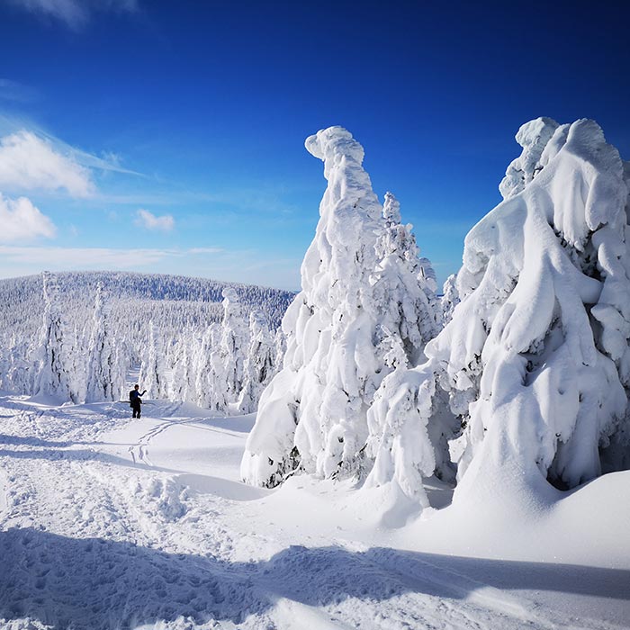 Rakiety śnieżne