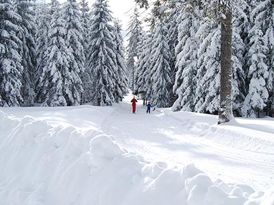 Strefy aktywności - Międzygórze i Jagodna