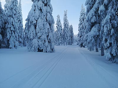 Strefy aktywności - Międzygórze i Jagodna