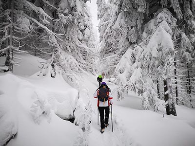 Strefy aktywności - Międzygórze i Jagodna