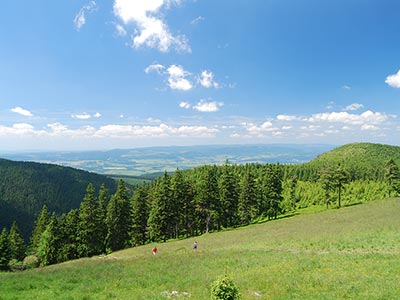 Strefy aktywności - Międzygórze i Jagodna