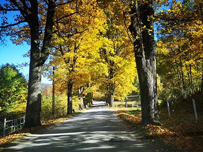 Strefy aktywności - Międzygórze i Jagodna